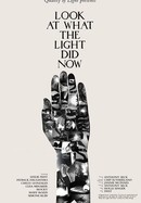 Look at What the Light Did Now poster image