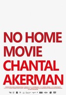 No Home Movie poster image