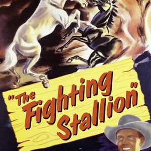 Fighting - Rotten Tomatoes