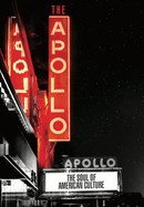 The Apollo poster image