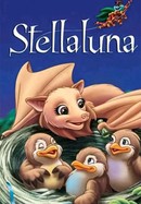 Stellaluna poster image