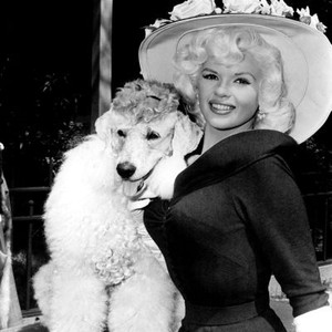 WILL SUCCESS SPOIL ROCK HUNTER?, Jayne Mansfield, 1957. TM and Copyright © 20th Century Fox Film Corp. All rights reserved..