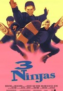 3 Ninjas poster image