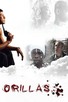 Poster for 