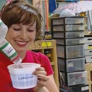 mythbusters season 4