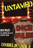Dice Rules poster image