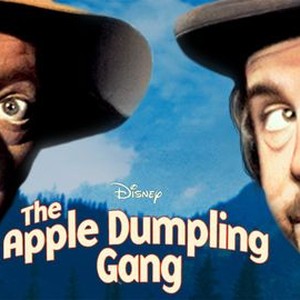 The Apple Dumpling Gang photo 14