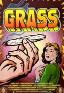 Grass poster image