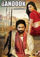 Bandook poster image