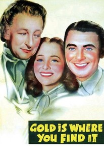 Poster for Gold Is Where You Find It