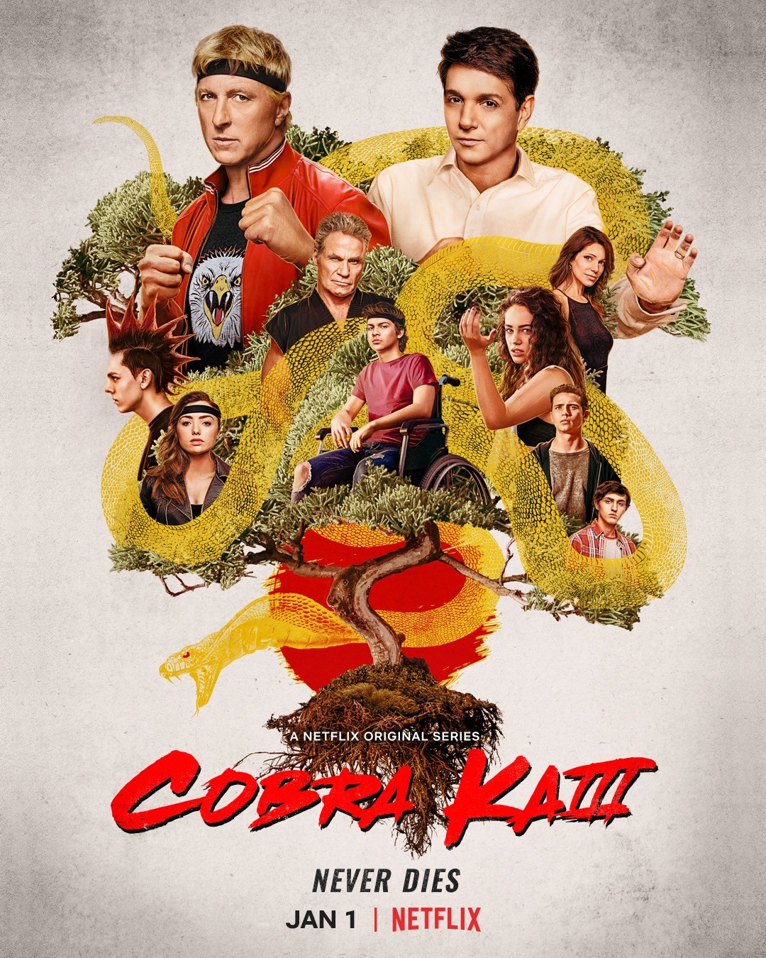 Cobra Kai Wallpaper Explore more American, Cobra Kai, Comedy, Film