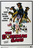The Doberman Gang poster image