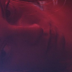 Heaven Knows What - Rotten Tomatoes