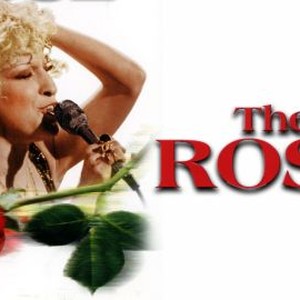 The Rose photo 4