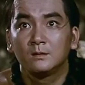 The Best of Shaolin Kung Fu (1976)
