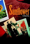 Sunflower poster image