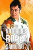 Poster for