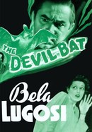The Devil Bat poster image