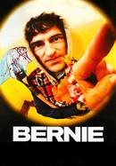 Bernie poster image