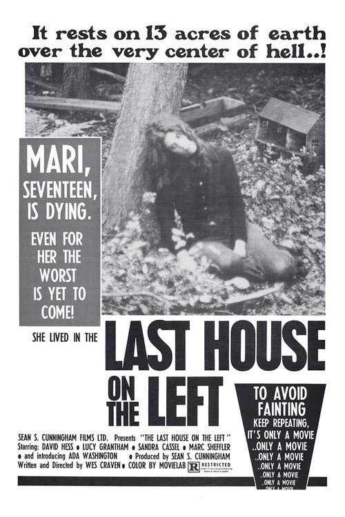 Last House on the Left poster