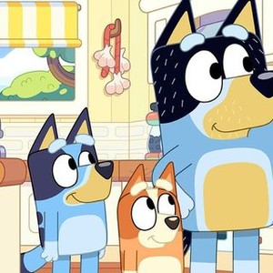 Bluey: Season 3, Episode 1 - Rotten Tomatoes