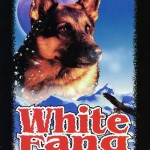 White Fang to the Rescue photo 2