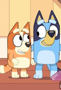 Bluey: Season 1, Episode 40 - Rotten Tomatoes