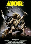Ator, the Fighting Eagle poster image