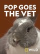 Pop Goes the Vet