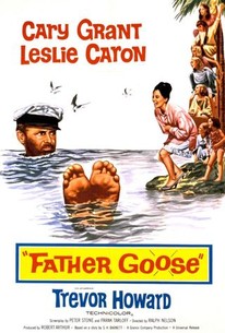Father Goose poster