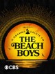 A Grammy Salute to The Beach Boys