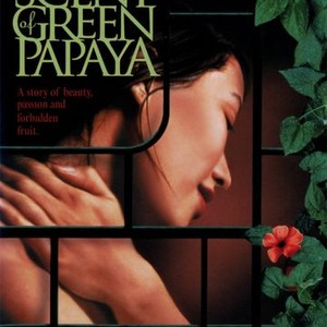 The Scent of Green Papaya photo 10