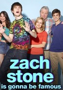 Zach Stone Is Gonna Be Famous poster image
