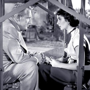 Father's Little Dividend (1951) photo 6