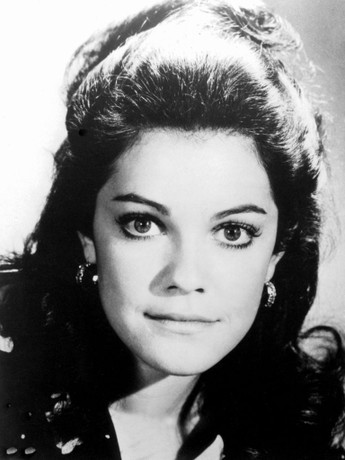 Eshagida tiqin bilan lezbiyen Jinsiy olat olchamidagi ayollar