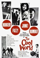 The Cool World poster image