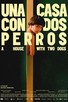 Poster for 