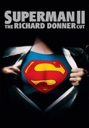 Superman II: The Richard Donner Cut poster image
