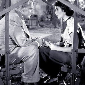 Father's Little Dividend (1951) photo 8