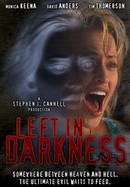 Left in Darkness poster image