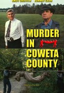 Murder in Coweta County poster image