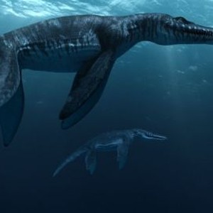 Sea Rex: Journey to a Prehistoric World (2010) photo 4