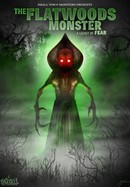 The Flatwoods Monster poster image