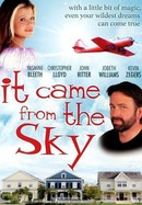 It Came From the Sky poster image