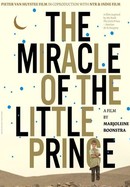 The Miracle of the Little Prince poster image