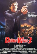Death Wish 3 poster image