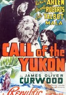 Call of the Yukon poster image