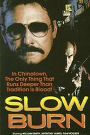 movie review slow burn