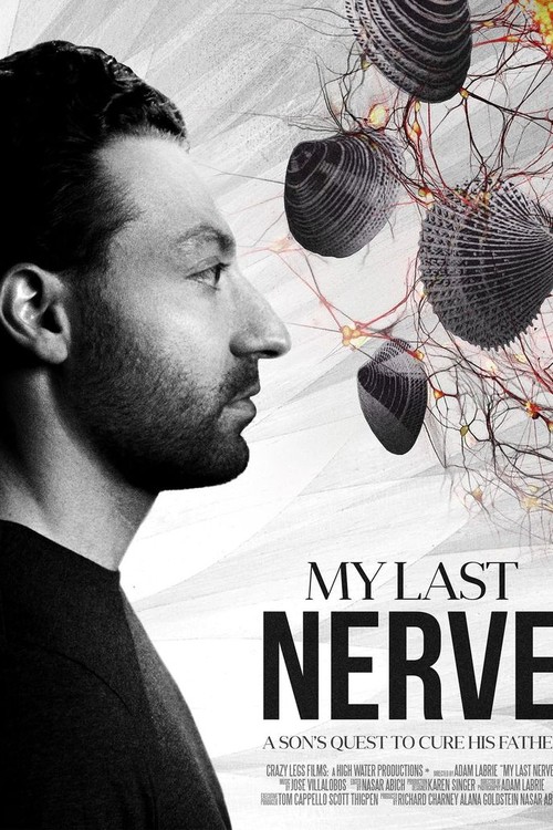 My Last Nerve poster