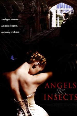 Angels and Insects poster